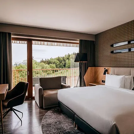 Hotel Radisson
