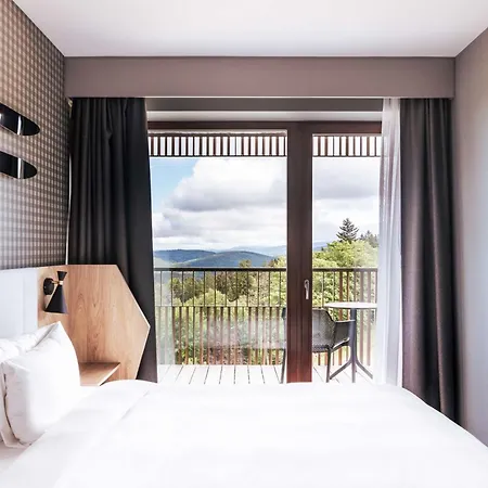 Hotel Radisson